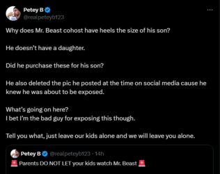 FireShot Capture 2539 - Petey B on X_ _Why does Mr. Beast cohost have heels the size of his _ ...png