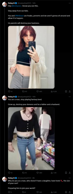 FireShot Capture 2541 - Petey B on X_ _🚨 Parents DO NOT LET your kids watch Mr. Beast 🚨 He_ - ...png