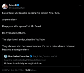 FireShot Capture 2542 - Petey B on X_ _I also think Mr. Beast is banging his cohost Ava _ Kr_ ...png