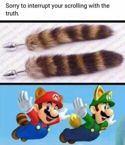 mariotail.jpg