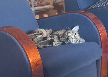 20240521_163045.jpg