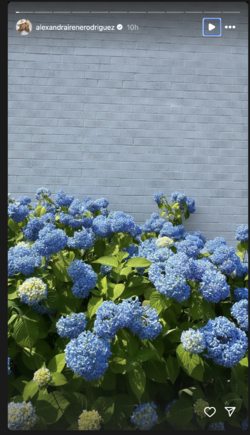 ar_05.png