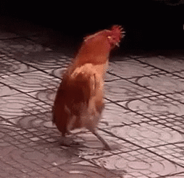 henstep.gif