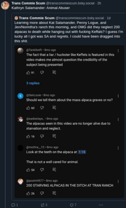 animal-abuse-1.png