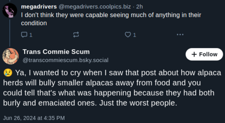 animal-abuse-3.png