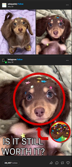 1719448890834.png
