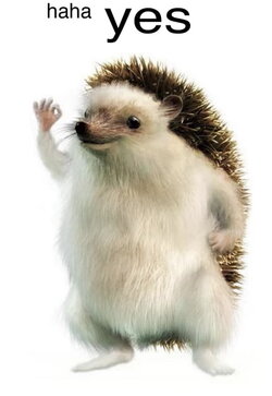 haha yes.jpg