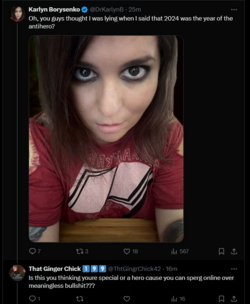 Screenshot 2024-06-27 133149.png