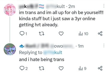 Tranny L post 10.jpg