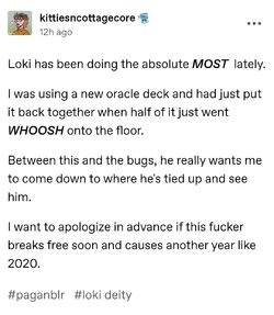 bugs.jpg bugs.jpg