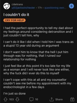 Tranny L post 36.jpg
