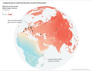 neanderthal_admixture.jpg
