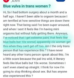 Tranny L post 42.jpg