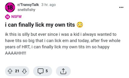 Tranny L post 66.jpg