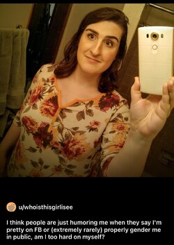 Tranny L post 77.jpg
