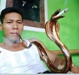 Snake.jpg