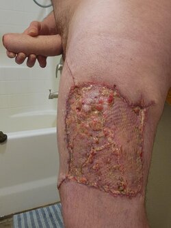 r2uugu26c79d1.jpg