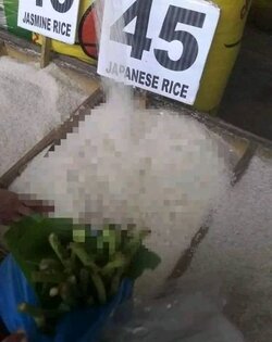 Rice.jpg