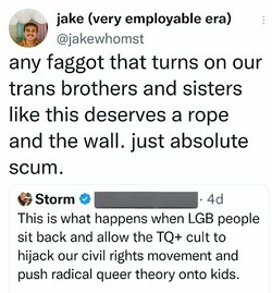 Tranny L post 91.jpg