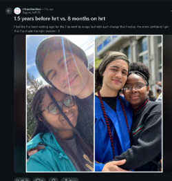 Tranny L post 97.png