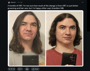 Tranny L post 99.png