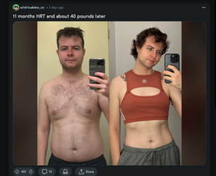 Tranny L post 100.png