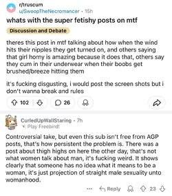 Tranny L post 113.jpg