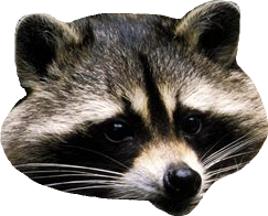 7.png