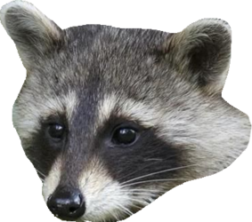 8.png