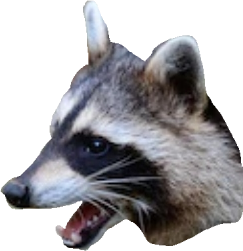 9.png