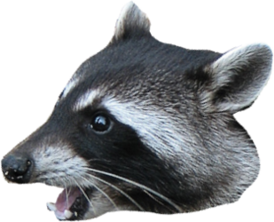 10.png