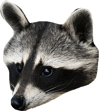 12.png