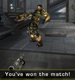 flak.png