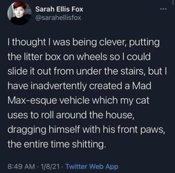 shitting.jpg