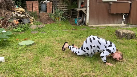 grazing.png