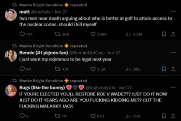 FireShot Capture 2563 - Maebe Bright Sunshine ☀️ (@KindaSortaMaebe) _ X - x.com.png
