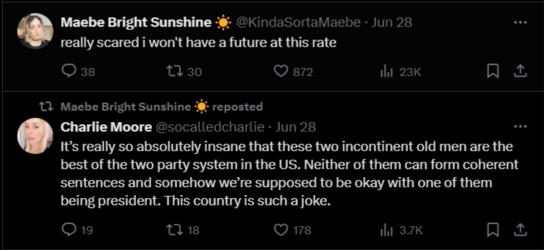 FireShot Capture 2565 - Maebe Bright Sunshine ☀️ (@KindaSortaMaebe) _ X - x.com.png