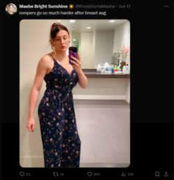FireShot Capture 2596 - Maebe Bright Sunshine ☀️ (@KindaSortaMaebe) _ X - x.com.png