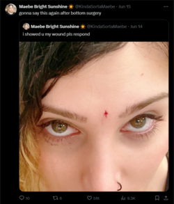 FireShot Capture 2601 - Maebe Bright Sunshine ☀️ (@KindaSortaMaebe) _ X - x.com.png