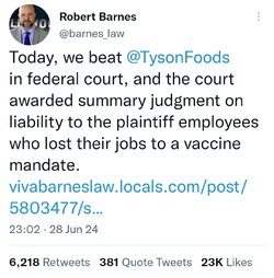 Screenshot_20240629_210233_Twitter.jpg
