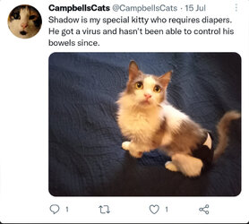 IMG_3532.jpeg
