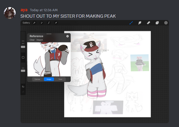 1719383823274.png