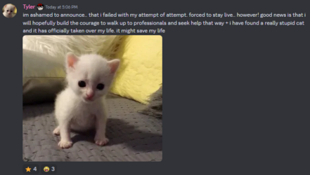 1719610580797.png