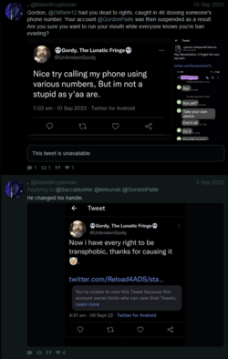 Vtuber Stalking 4.png