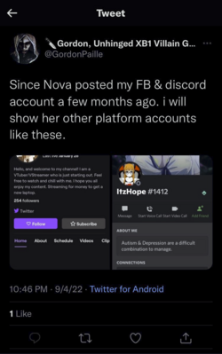 Vtuber Stalking 6.png