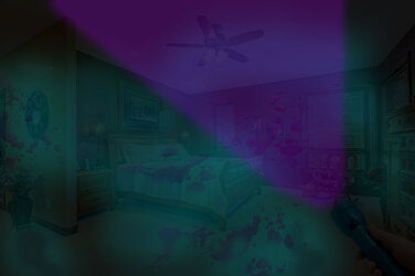 blacklight.jpg
