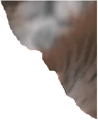 1719802919573.png