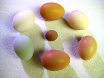 1719805463243.png