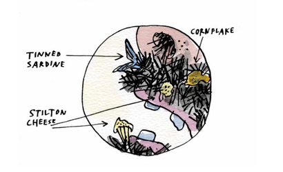 mr twit.png