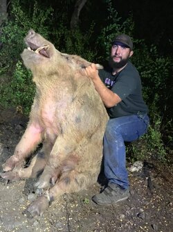 feral-hog-2138.jpg